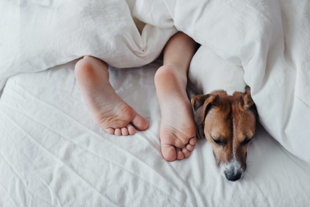 woman lays under covers with her dog